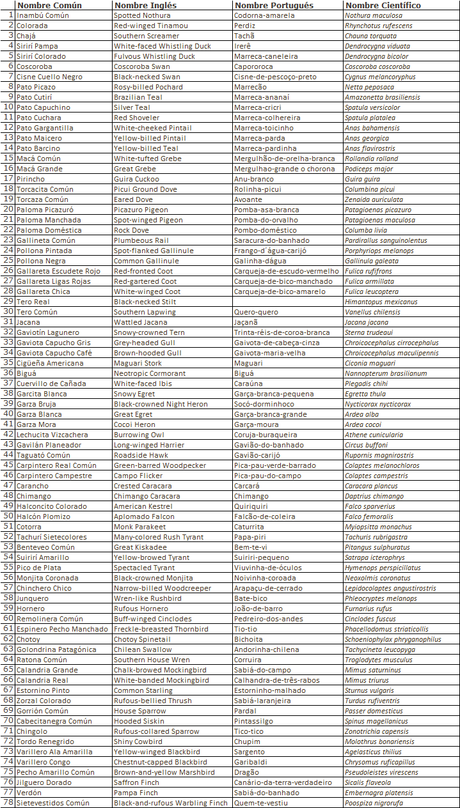 Censo Neotropical de Aves Acuáticas (julio 2025)