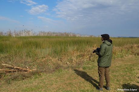 Censo Neotropical de Aves Acuáticas (julio 2025)