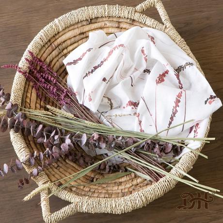 - Novedades en Textiles.