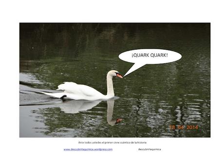 🦢✨ El regreso del cisne cuántico de Pontevedra 🦢✨ El regreso del cisne cuántico de Pontevedra