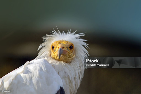 CUCHILLA DEL SABIO: LA HISTORIA QUE CONQUISTÓ EL MAPA Y EL CORAZÓN