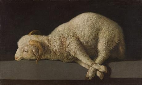 Agnus Dei de Zurbarán Agnus Dei de Zurbarán