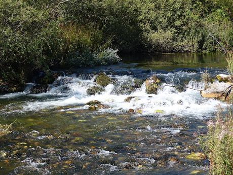 LOCA PRIMAVERA LOCA PRIMAVERA