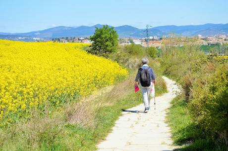CONVERSACIONES EN EL AUTOBÚS. CONVERSACIONES EN EL AUTOBÚS.