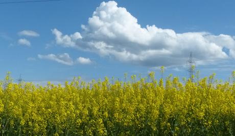 LA NIÑA Y LAS NUBES. LA NIÑA Y LAS NUBES.