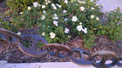 Desde Lavapiés a la Plaza de la villa (6)