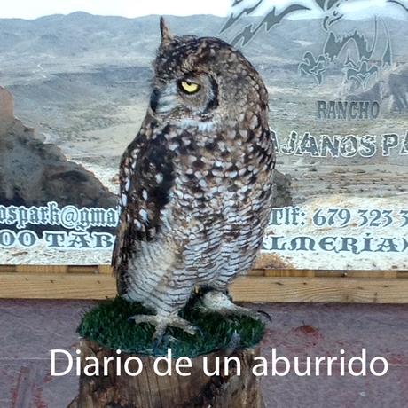 Psichopompe y El imposible retorno de Amélie Nothomb Psichopompe y El imposible retorno de Amélie Nothomb