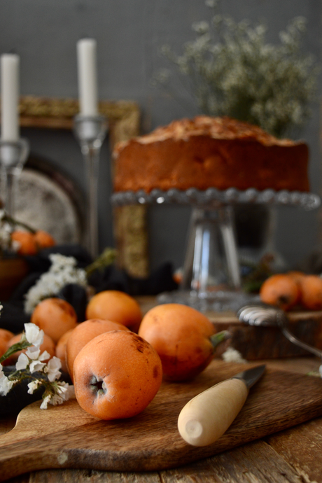 bizcocho-sencillo-de-nisperos