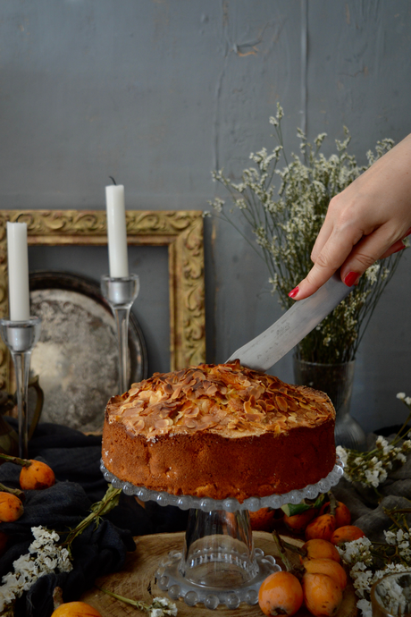 bizcocho-sencillo-de-nisperos