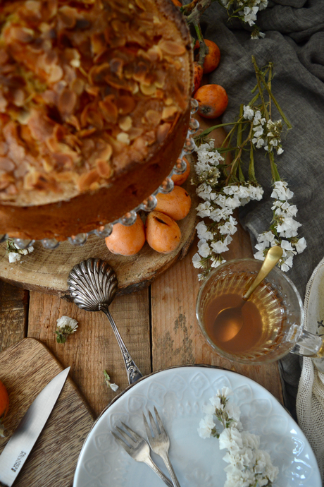 bizcocho-sencillo-de-nisperos