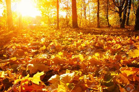 No, no dependió de mí No, no dependió de mí