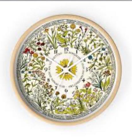 Los relojes que hilaban el tiempo con flores, sueños y exilios