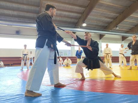 Crónica del IV Curso de Kobudo en Maracena – Un encuentro imprescindible para los amantes del arte tradicional Crónica del IV Curso de Kobudo en Maracena – Un encuentro imprescindible para los amantes del arte tradicional