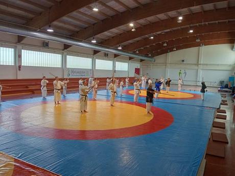 Crónica del IV Curso de Kobudo en Maracena – Un encuentro imprescindible para los amantes del arte tradicional Crónica del IV Curso de Kobudo en Maracena – Un encuentro imprescindible para los amantes del arte tradicional