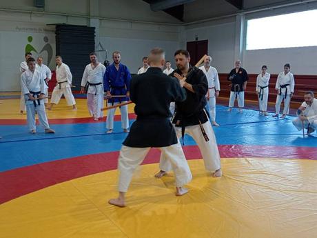 Crónica del IV Curso de Kobudo en Maracena – Un encuentro imprescindible para los amantes del arte tradicional Crónica del IV Curso de Kobudo en Maracena – Un encuentro imprescindible para los amantes del arte tradicional