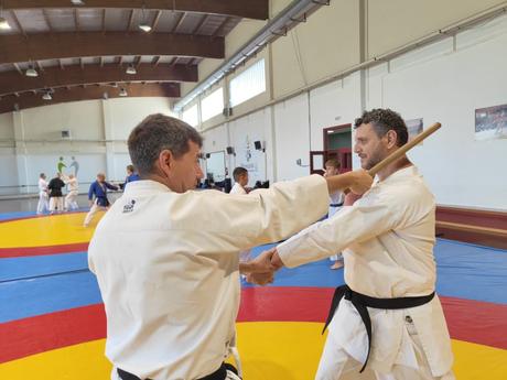 Crónica del IV Curso de Kobudo en Maracena – Un encuentro imprescindible para los amantes del arte tradicional Crónica del IV Curso de Kobudo en Maracena – Un encuentro imprescindible para los amantes del arte tradicional