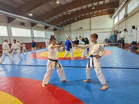 Crónica del IV Curso de Kobudo en Maracena – Un encuentro imprescindible para los amantes del arte tradicional Crónica del IV Curso de Kobudo en Maracena – Un encuentro imprescindible para los amantes del arte tradicional