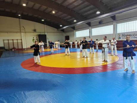 Crónica del IV Curso de Kobudo en Maracena – Un encuentro imprescindible para los amantes del arte tradicional Crónica del IV Curso de Kobudo en Maracena – Un encuentro imprescindible para los amantes del arte tradicional