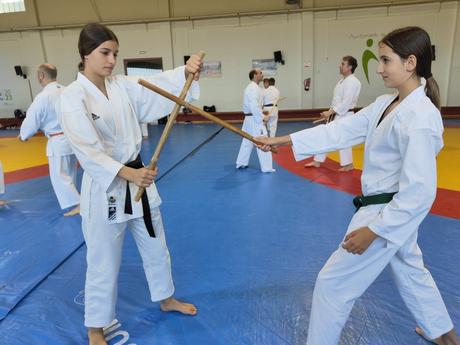 Crónica del IV Curso de Kobudo en Maracena – Un encuentro imprescindible para los amantes del arte tradicional Crónica del IV Curso de Kobudo en Maracena – Un encuentro imprescindible para los amantes del arte tradicional