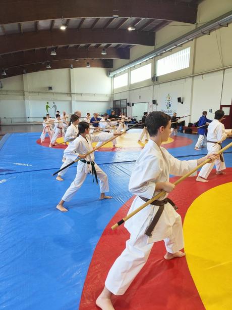 Crónica del IV Curso de Kobudo en Maracena – Un encuentro imprescindible para los amantes del arte tradicional Crónica del IV Curso de Kobudo en Maracena – Un encuentro imprescindible para los amantes del arte tradicional