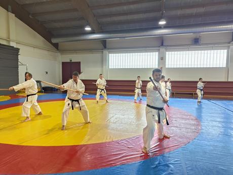 Crónica del IV Curso de Kobudo en Maracena – Un encuentro imprescindible para los amantes del arte tradicional Crónica del IV Curso de Kobudo en Maracena – Un encuentro imprescindible para los amantes del arte tradicional