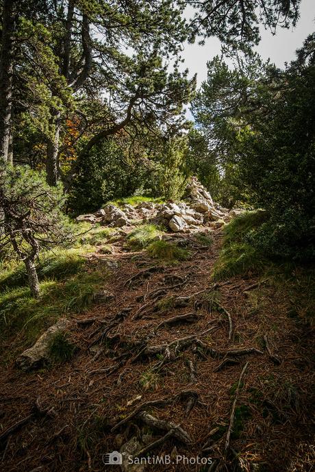 Cúmulo fuera de lugar