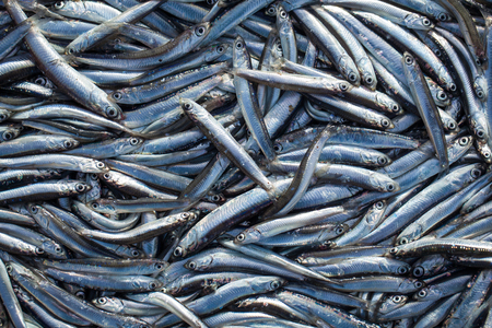 RE- CUERDOS ¿? 6 RE- CUERDOS ¿? 6