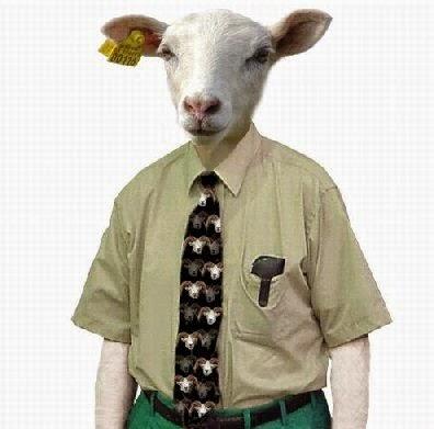 DE AQUELLOS BARROS... ESTOS LODOS.