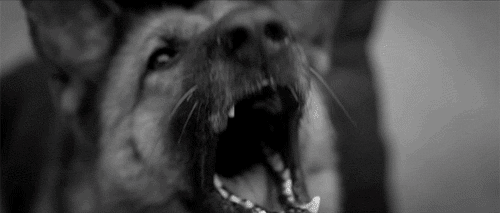 DE AQUELLOS BARROS... ESTOS LODOS.