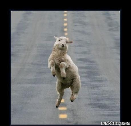 DE AQUELLOS BARROS... ESTOS LODOS.