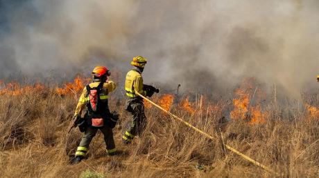 ---Interrumpimos el descanso de agosto para publicar este artículo de rabiosa actualidad---- Los incendios han minado la confianza de los ciudadanos en sus gobernantes