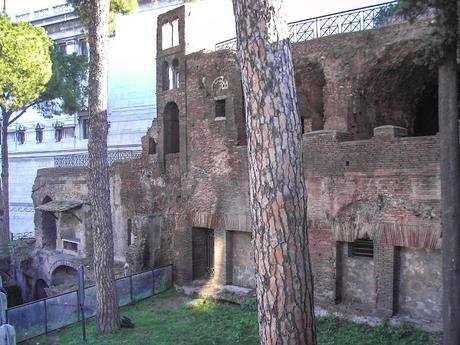 VIVIR (Y COMER) EN UNA INSULA. MANUAL DE SUPERVIVENCIA VIVIR (Y COMER) EN UNA INSULA. MANUAL DE SUPERVIVENCIA