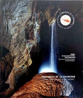 Segundo Premio Internacional para 