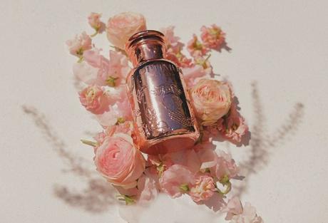 Nutricosmética: mis descubrimientos favoritos para cuidar la piel desde el interior Nutricosmética: mis descubrimientos favoritos para cuidar la piel desde el interior