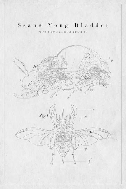 Parásitos perfectos, de Luis Carlos Barragán