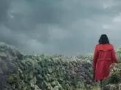 Óscar Reboiras caso Salgueiro (reseña)