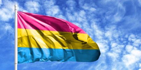 Dia Internacional de la Visibilidad Pansexual y Panromántica