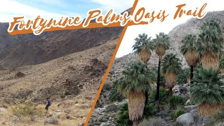 Ruta al Oasis Fortynine Palms: senderismo en el corazón del desierto de Joshua Tree | California