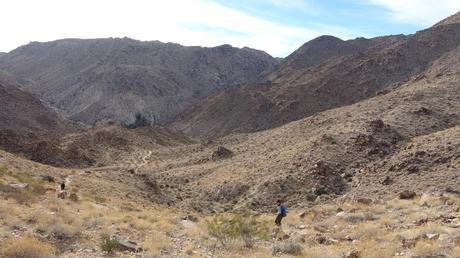 Ruta al Oasis Fortynine Palms: senderismo en el corazón del desierto de Joshua Tree | California