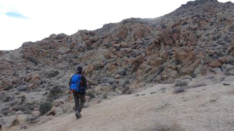 Ruta al Oasis Fortynine Palms: senderismo en el corazón del desierto de Joshua Tree | California
