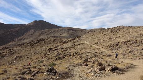 Ruta al Oasis Fortynine Palms: senderismo en el corazón del desierto de Joshua Tree | California