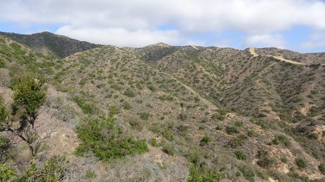 Explora Catalina Island a pie: descubre el Hermit Gulch Trail desde Avalon | California