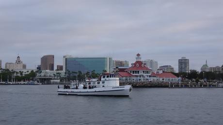 Explora Catalina Island a pie: descubre el Hermit Gulch Trail desde Avalon | California
