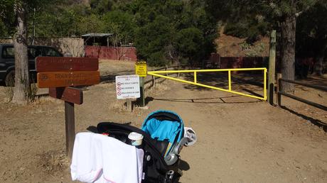 Explora Catalina Island a pie: descubre el Hermit Gulch Trail desde Avalon | California