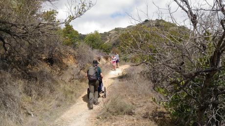 Explora Catalina Island a pie: descubre el Hermit Gulch Trail desde Avalon | California