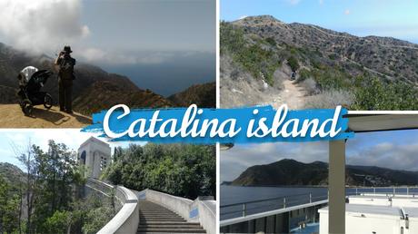 Explora Catalina Island a pie: descubre el Hermit Gulch Trail desde Avalon | California