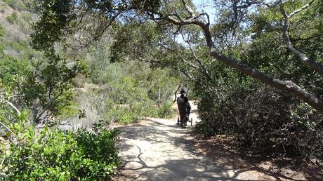 Explora Catalina Island a pie: descubre el Hermit Gulch Trail desde Avalon | California