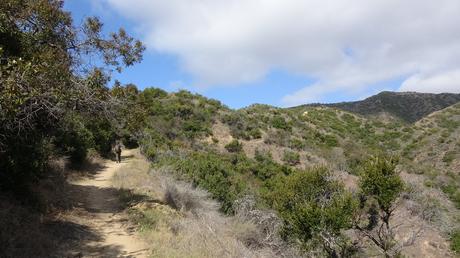 Explora Catalina Island a pie: descubre el Hermit Gulch Trail desde Avalon | California