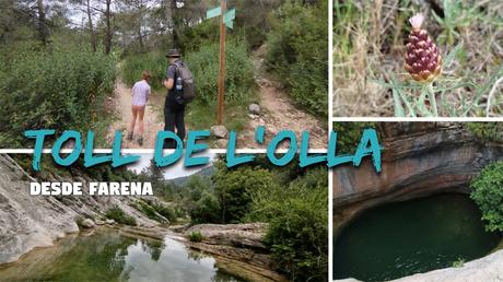 Ruta al Toll de l’Olla desde Farena: baño en el río Brugent | Alt Camp
