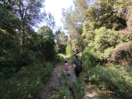 Llac de la Pepa y Pantà de la Mixeta: ruta circular por el Torrent del Llop | Castellar del Vallès (Vallès Occidental)
